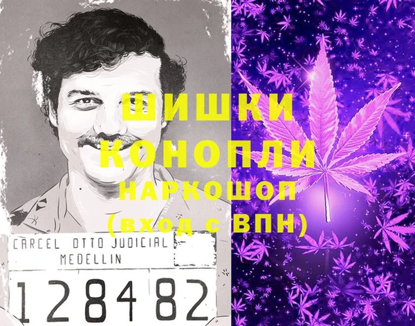 дмт Богородицк