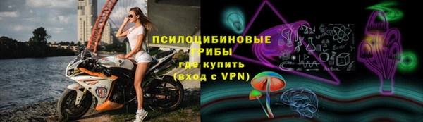 ПСИЛОЦИБИНОВЫЕ ГРИБЫ Богородск