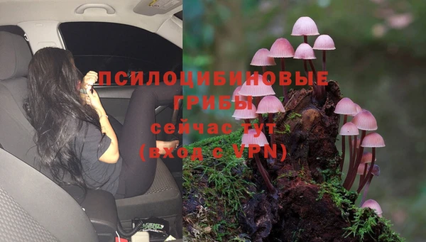 дмт Богородицк