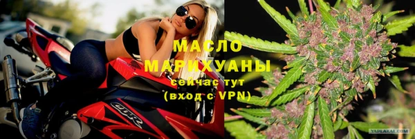 дмт Богородицк